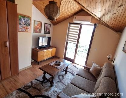 3 apartmana u Igalu, , частни квартири в града Igalo, Черна Гора - dnevni boravak_main